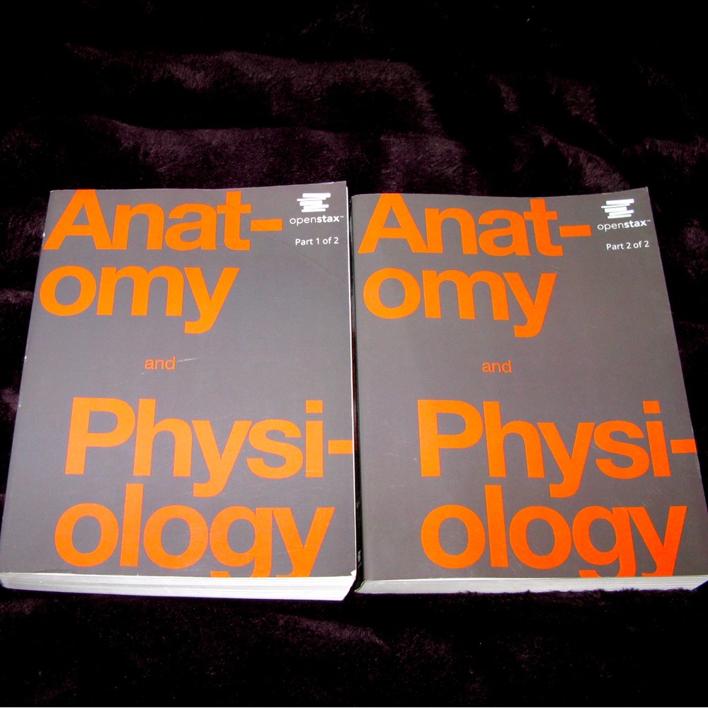 Openstax Anatomy and Physiology 2e Textbooks Part 1 and 2